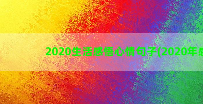 2020生活感悟心情句子(2020年感悟)