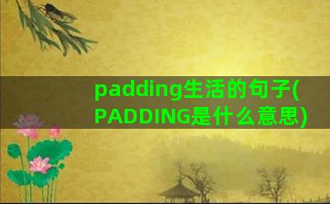 padding生活的句子(PADDING是什么意思)