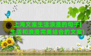 上海文案生活浪漫的句子(生活和浪漫完美结合的文案)