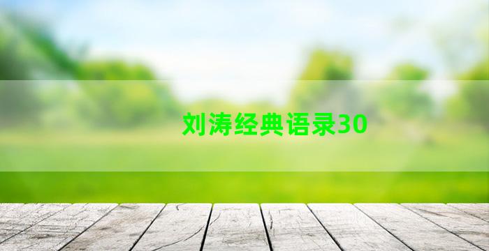 刘涛经典语录30